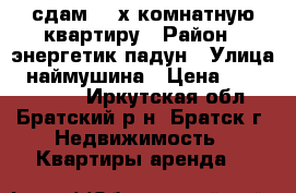 сдам 1-2х комнатную квартиру › Район ­ энергетик падун › Улица ­ наймушина › Цена ­ 4500-14000 - Иркутская обл., Братский р-н, Братск г. Недвижимость » Квартиры аренда   